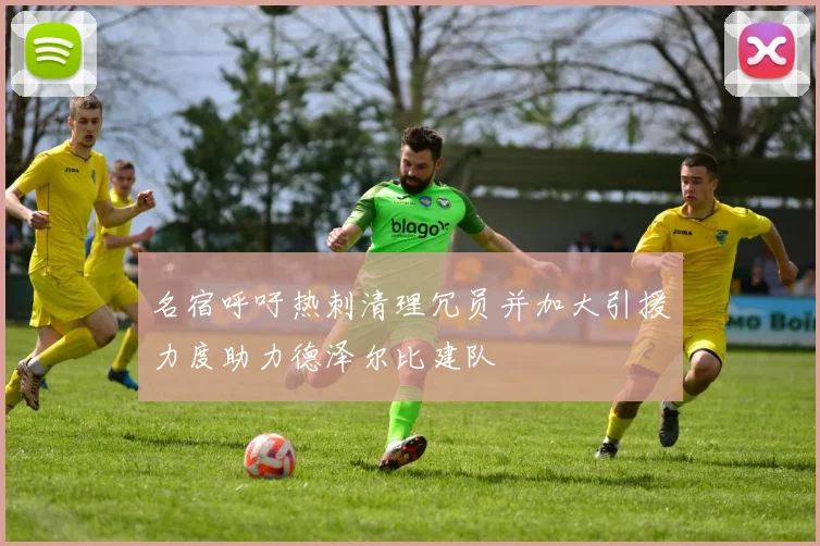 名宿呼吁热刺清理冗员并加大引援力度助力德泽尔比建队