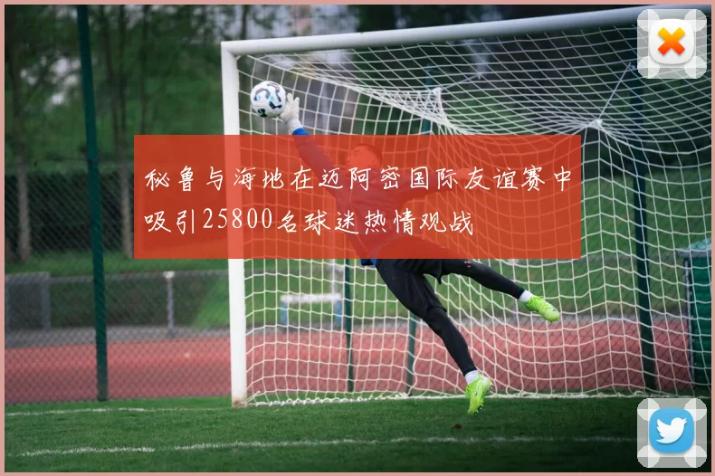 秘鲁与海地在迈阿密国际友谊赛中吸引25800名球迷热情观战